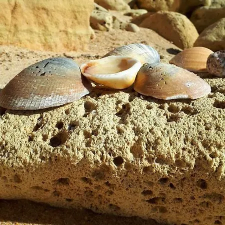 Olhos Do Mar Апартаменты
