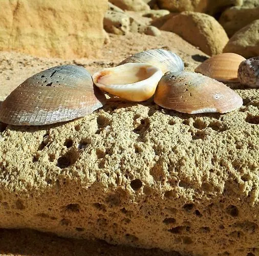 Olhos Do Mar Apartment